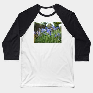 Iris at the garden fence Baseball T-Shirt